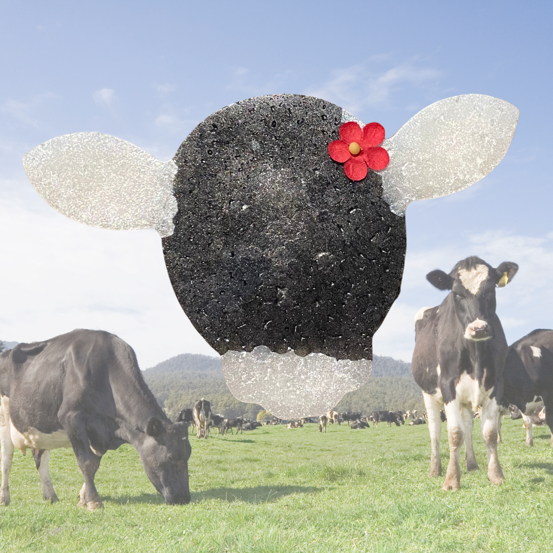 Cow Freshie